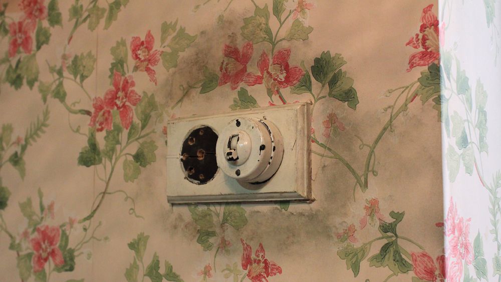 Learn how to fix damp and mould issues in your home: buff.ly/VFws3aL #diy #DIYDoctor #homeimprovement #home #construction #remodel #building #homeinspo #homesweethome #renovation #homerenovation #projects #project #ideas #realestate #exteriordesign