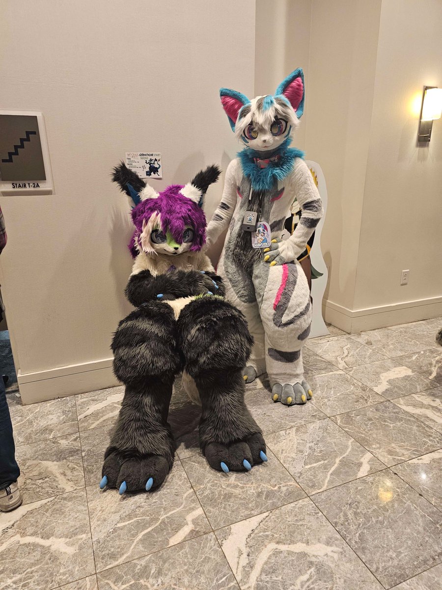 Me and my angsty scene child <a href="/wafertwt/">wafer 🔜 fwa</a> #FursuitFriday #kemono 📸:<a href="/yellyXP/">YellyXP</a>