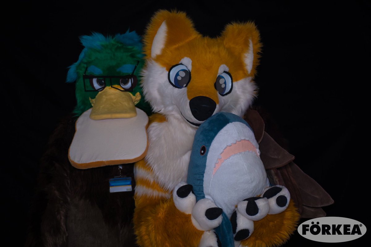 themindofurry's tweet photo. so many fluffs ☺️ 
Happy  #FursuitFriday 🐾 
#rheinfurdance #rfd3 https://t.co/jtX2tu8HQ1