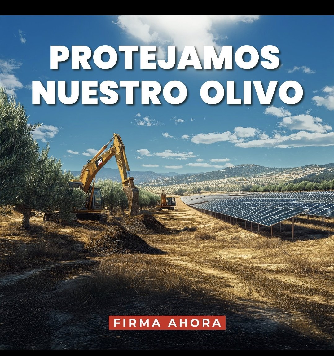 ... Si quieres proteger el olivar español frente al PP que lo está arrancando en Andalucía, Retuitea...