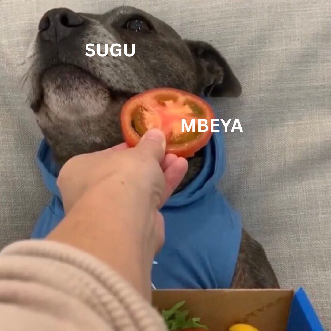 😂😂😂