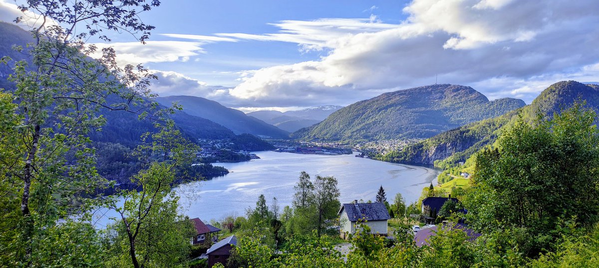 Dave Roe tweet media