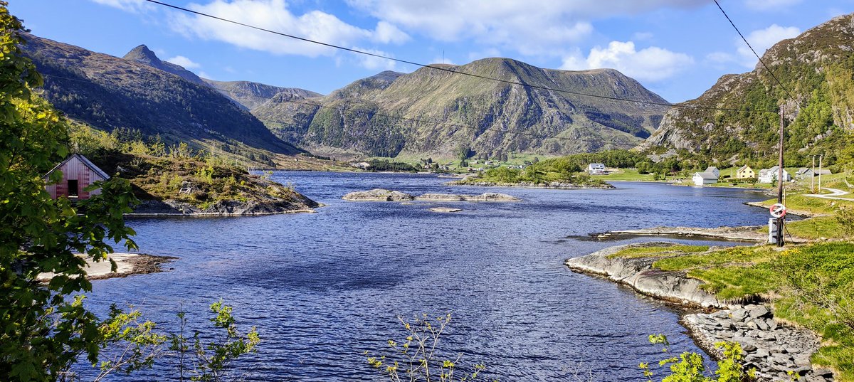 Dave Roe tweet media