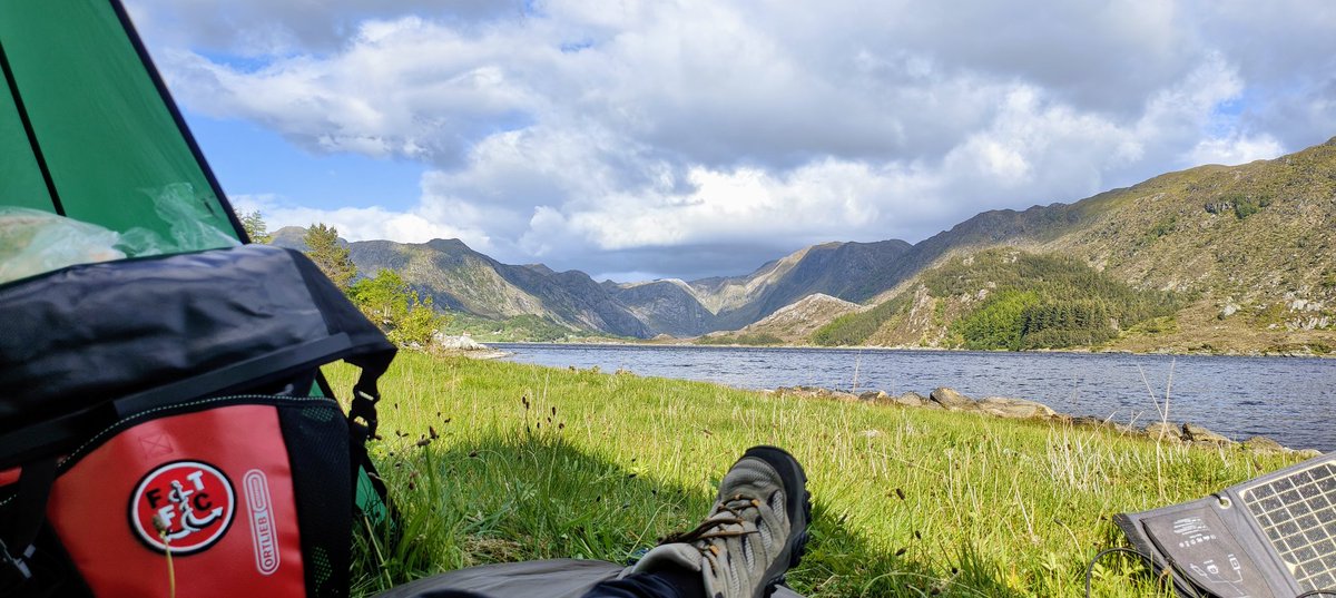 Dave Roe tweet media