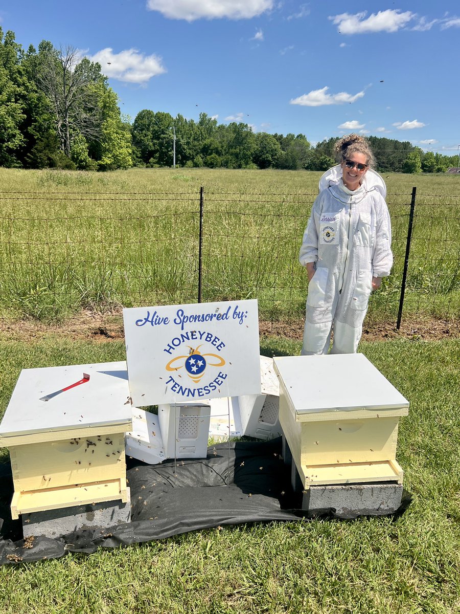 TNFFAFoundation's tweet image. 🐝 The buzz is real — honeybees have arrived at TN FFA Camp Clements! Huge thanks to Jessica Davis &amp;amp; Honeybee Tennessee for the hives, suits, and all the bee magic. 🐝🍯

Catch her Weeks 2–7 for hands-on beekeeping demos! 

#TNFFA #HoneybeeTennessee