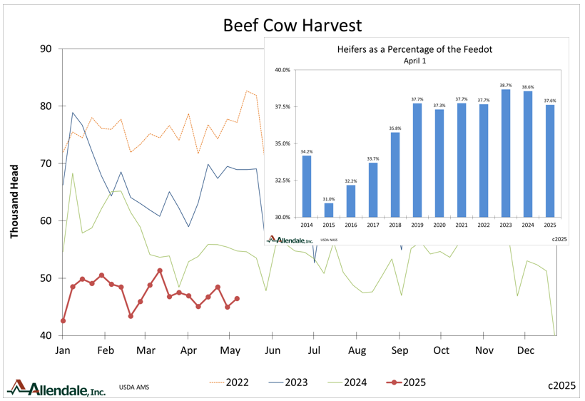 Rich Nelson tweet media