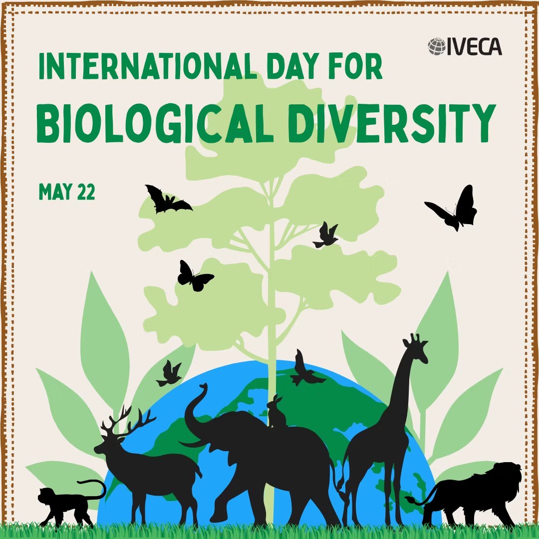 #IVECA encourages students every day to explore the significance of local &amp; global biodiversity through projects focusing on #WaterConservation, #ClimateChange, #Globalization, &amp; #EnvironmentalHealth. 🌿🦁🦋

Read more 👉 tinyurl.com/Biodiversity-25
#BiodiversityDay2025 #SDGs #GCED
