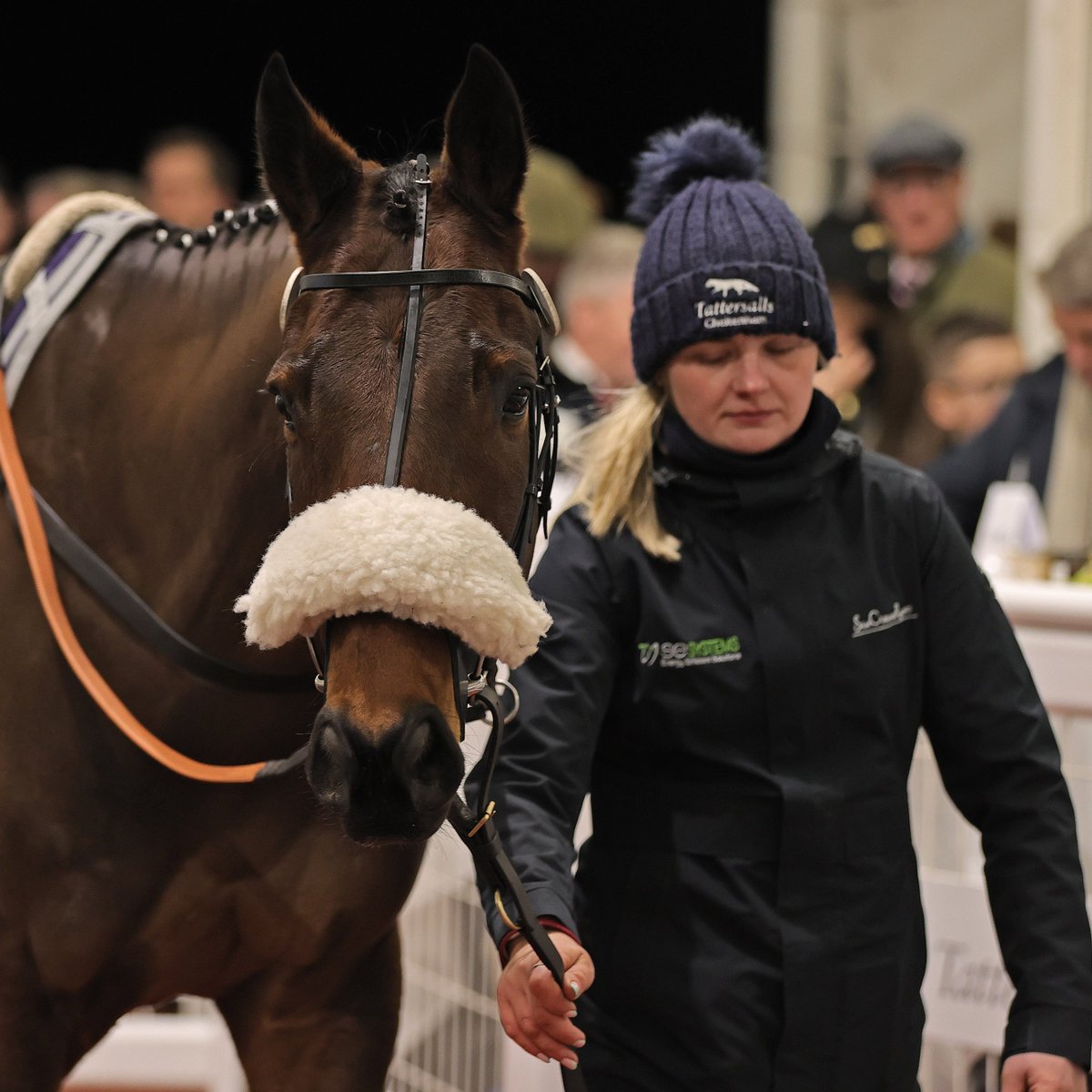 Tattersalls Cheltenham (@tattscheltenham) on Twitter photo The 🇮🇪 P2P winner Cinammon Roll collects her bumper on her second start under Rules for trainer Gordon Elliott <a href="/DownpatrickRace/">Downpatrick Racecourse</a> 🟠🔵
She was an impressive 1️⃣5️⃣ length winner!💥
#CheltenhamJanuary 2025
<a href="/SkehanaghStable/">Skehanagh Stables</a> ➡️ <a href="/AOryan/">Mouse O’Ryan🍀</a> / <a href="/gelliott_racing/">Gordon Elliott</a>, £80,000 The 🇮🇪 P2P winner Cinammon Roll collects her bumper on her second start under Rules for trainer Gordon Elliott <a href="/DownpatrickRace/">Downpatrick Racecourse</a> 🟠🔵
She was an impressive 1️⃣5️⃣ length winner!💥
#CheltenhamJanuary 2025
<a href="/SkehanaghStable/">Skehanagh Stables</a> ➡️ <a href="/AOryan/">Mouse O’Ryan🍀</a> / <a href="/gelliott_racing/">Gordon Elliott</a>, £80,000