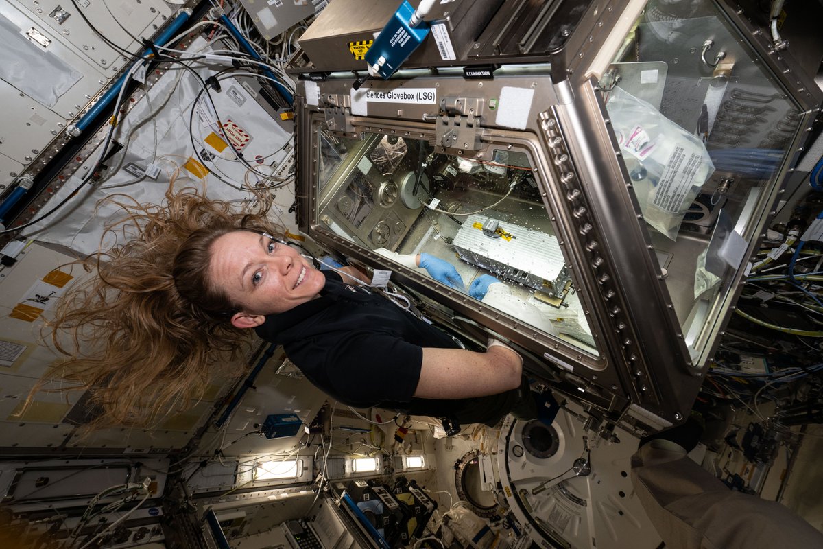 ISS Research (@iss_research) on Twitter photo .<a href="/Astro_Ayers/">Nichole “Vapor” Ayers</a> was hands-on in the Life Science Glovebox testing ELVIS, a microscope designed to capture bacteria movement in 3D. This tool could help detect potentially infectious organisms in space. go.nasa.gov/4cWFaLZ .<a href="/Astro_Ayers/">Nichole “Vapor” Ayers</a> was hands-on in the Life Science Glovebox testing ELVIS, a microscope designed to capture bacteria movement in 3D. This tool could help detect potentially infectious organisms in space. go.nasa.gov/4cWFaLZ