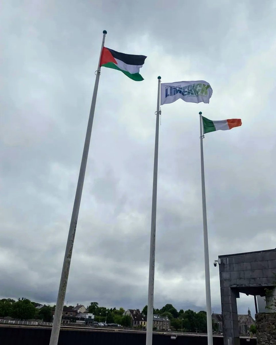 Limerick Against Fascism tweet media