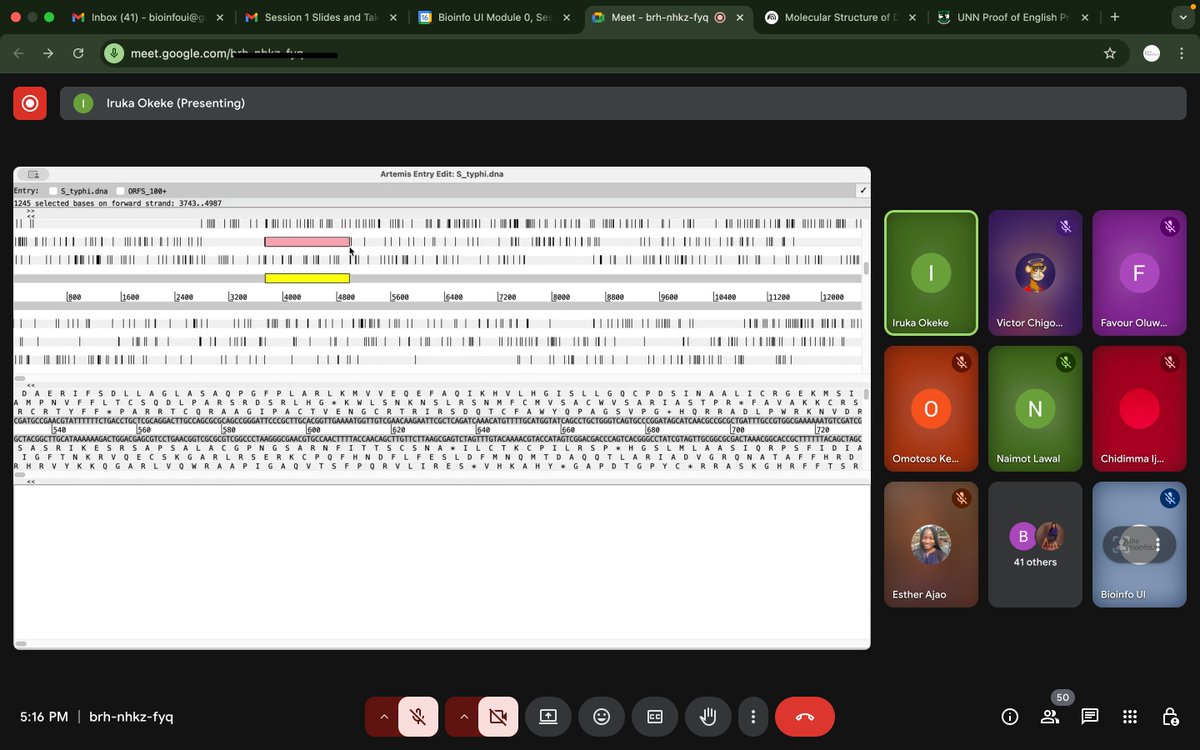 BioinfoUI's tweet image. Amazing session today as we continued our genomics pre-course with an engaging and interactive class. We covered more on the genetic code, central dogma, and had a sneak peek into genome browsing with Artemis.

Watch: youtu.be/AM6n0dg28M8