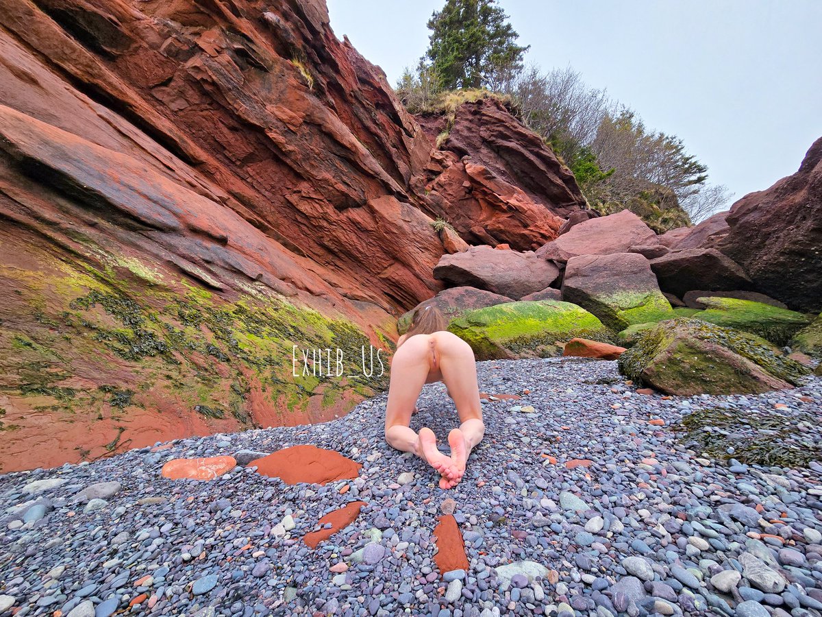 Exhib Us tweet media