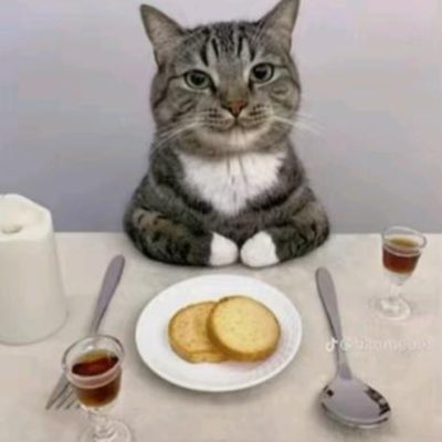 plasticontainr's tweet photo. #NewProfilePic https://t.co/yNiv1hE8Tm