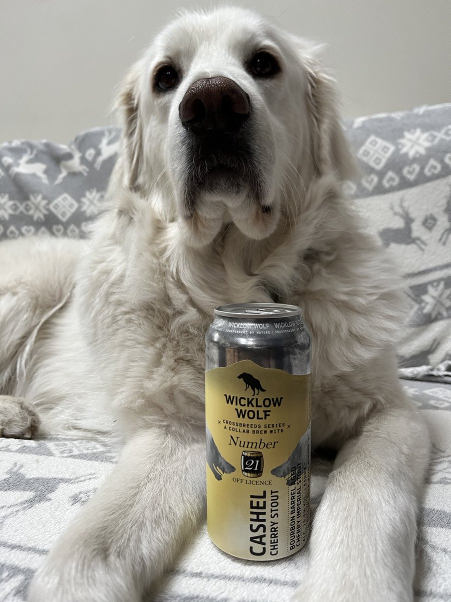 Growley Crowley (@bilcro) on Twitter photo #FridayBeers continue with a 10% ‘Cashel’ from <a href="/WWolfBrewery/">Wicklow Wolf Brewery | B Corp™</a>. Big treacly chocolate, spice and cherry stout, lively body and head. Special!
Sláinte!🍻
<a href="/fennaldo/">Fennaldo</a> <a href="/keefmullin/">keef mullin 💙</a> <a href="/j_k357/">keith ⭐️⭐️💙</a> <a href="/cb_phil/">Phil</a> <a href="/PaulOBrien10/">Paul O'Brien</a> <a href="/antrim_man/">🪓🗡️Antrim_Man</a> <a href="/pcr123/">Paul Reid</a> <a href="/CorkBeer/">CorkBeerTweets</a> <a href="/Imagicranium/">Paul Brown</a> <a href="/BADONICUS/">Badonicus</a> <a href="/mjpm67/">MM🇮🇪</a> <a href="/beer_leeds/">LeedsBeerTweets</a> #FridayBeers continue with a 10% ‘Cashel’ from <a href="/WWolfBrewery/">Wicklow Wolf Brewery | B Corp™</a>. Big treacly chocolate, spice and cherry stout, lively body and head. Special!
Sláinte!🍻
<a href="/fennaldo/">Fennaldo</a> <a href="/keefmullin/">keef mullin 💙</a> <a href="/j_k357/">keith ⭐️⭐️💙</a> <a href="/cb_phil/">Phil</a> <a href="/PaulOBrien10/">Paul O'Brien</a> <a href="/antrim_man/">🪓🗡️Antrim_Man</a> <a href="/pcr123/">Paul Reid</a> <a href="/CorkBeer/">CorkBeerTweets</a> <a href="/Imagicranium/">Paul Brown</a> <a href="/BADONICUS/">Badonicus</a> <a href="/mjpm67/">MM🇮🇪</a> <a href="/beer_leeds/">LeedsBeerTweets</a>