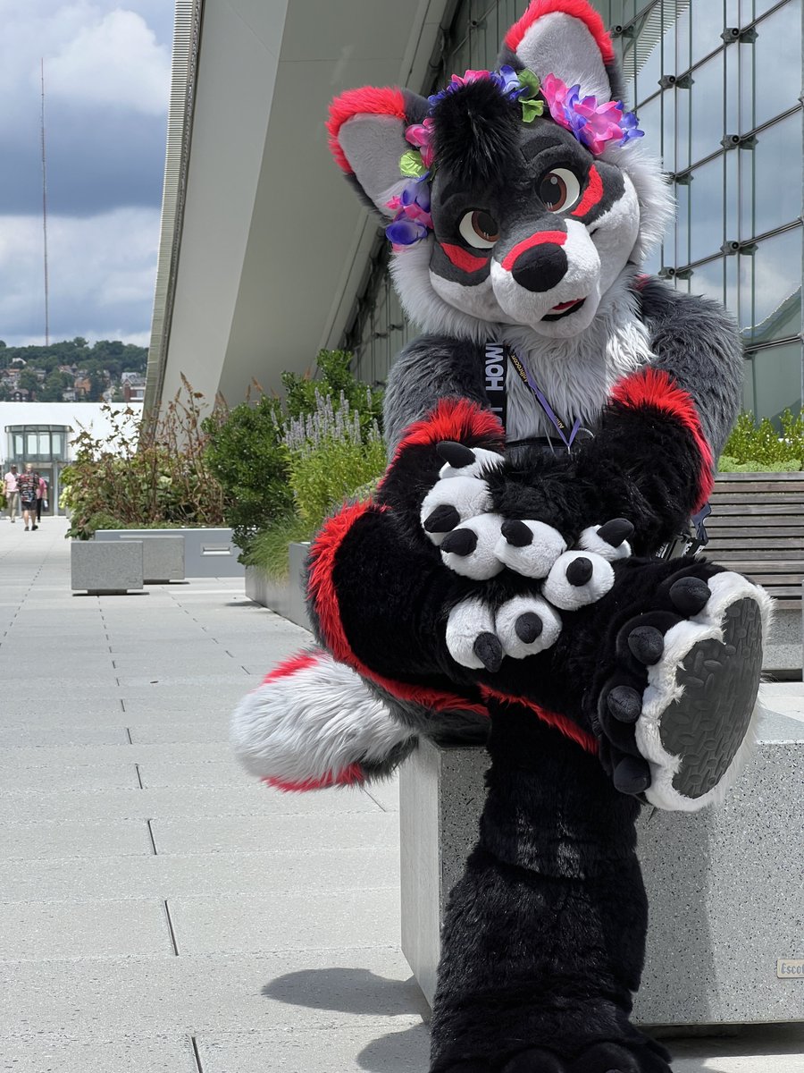 Monti 🔜 FWA tweet media