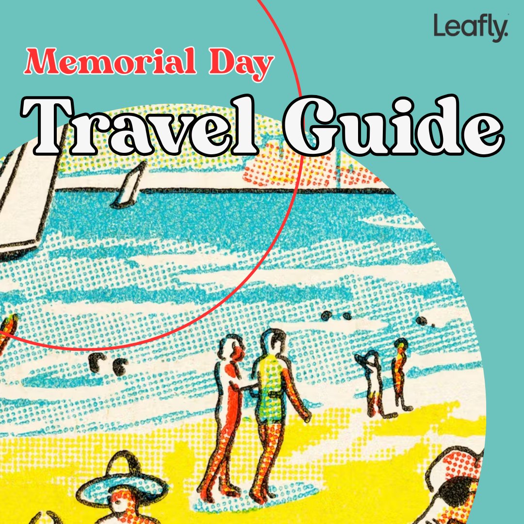 Leafly's tweet image. Keep the vibes high this long weekend with Leafly's guide on traveling with green, safely and legally. From camping etiquette to crossing state lines, we've got you covered. Hit the link for the full rundown on everything you need to know 💨 bit.ly/43ak1e8