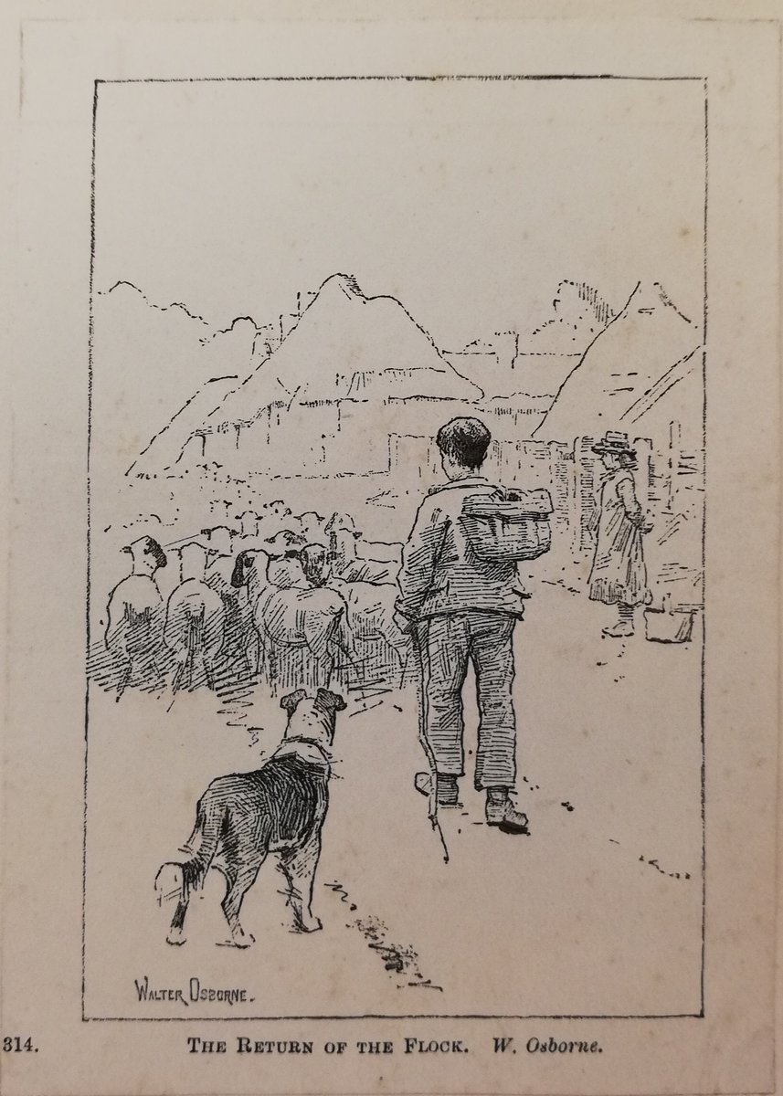 Gearóid Arthur Hayes tweet media