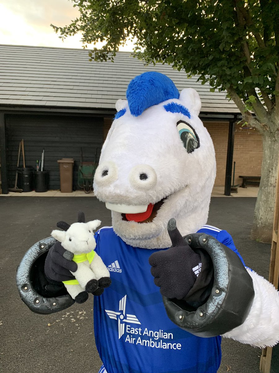 BlueyITFC💙 tweet media