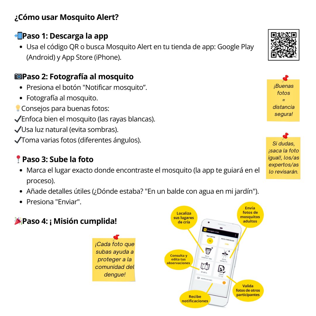 arbohvirus's tweet photo. ¿Sabías que #RapaNui no está en el #MapaGlobal de #VigilanciaDeMosquitos? ¡Cambiémoslo!
🗓️ 26-30 mayo: Únete a #DEMIVOH con #MosquitoAlert 📲
🔍 ¿Cómo usarla? Aquí te explicamos 👇 https://t.co/SdAohcp8fX
