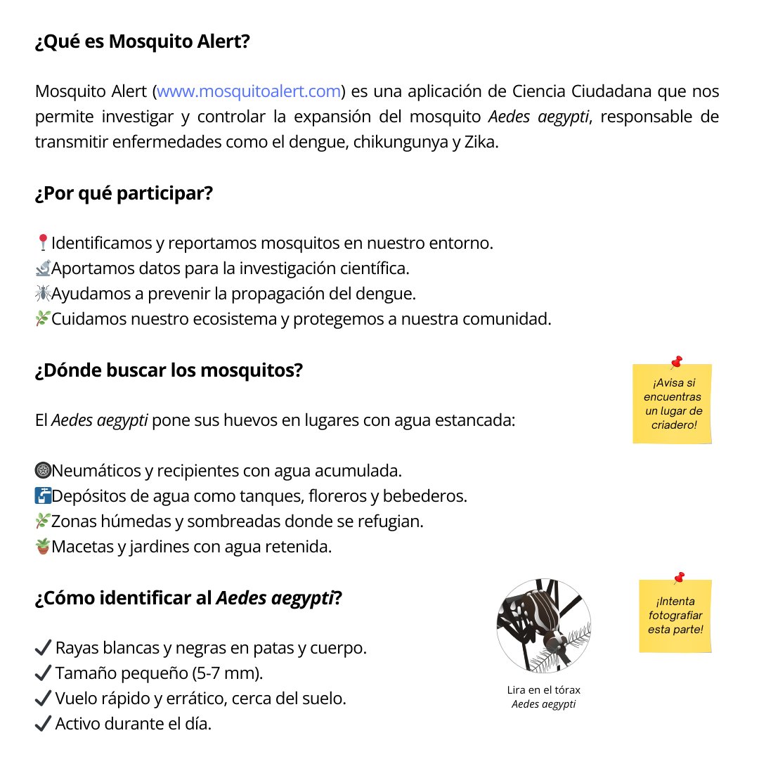 arbohvirus's tweet photo. ¿Sabías que #RapaNui no está en el #MapaGlobal de #VigilanciaDeMosquitos? ¡Cambiémoslo!
🗓️ 26-30 mayo: Únete a #DEMIVOH con #MosquitoAlert 📲
🔍 ¿Cómo usarla? Aquí te explicamos 👇 https://t.co/SdAohcp8fX