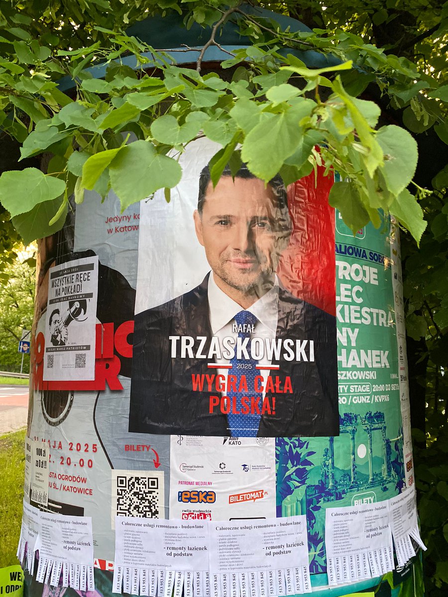 patryk_bialas's tweet photo. Wieczorny spacer po #Tauzen.ie ze znajomymi @jo__ma__
@Zamorowski_K @trzaskowski_
#Trzaskowski2025 #WygraCalaPolska https://t.co/r8KNMYs5LD