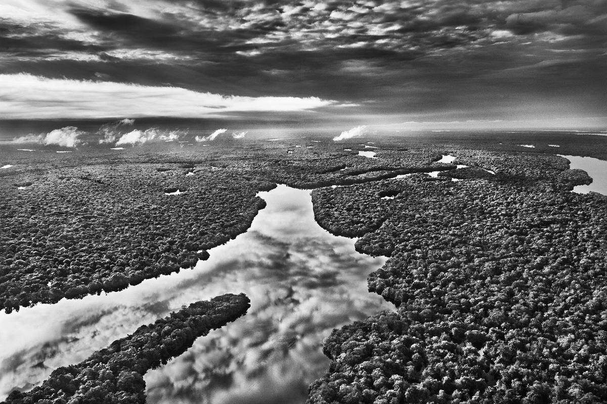 elbarroquista's tweet photo. Ha muerto el gran Sebastião Salgado. https://t.co/8LeZjZ9H4M