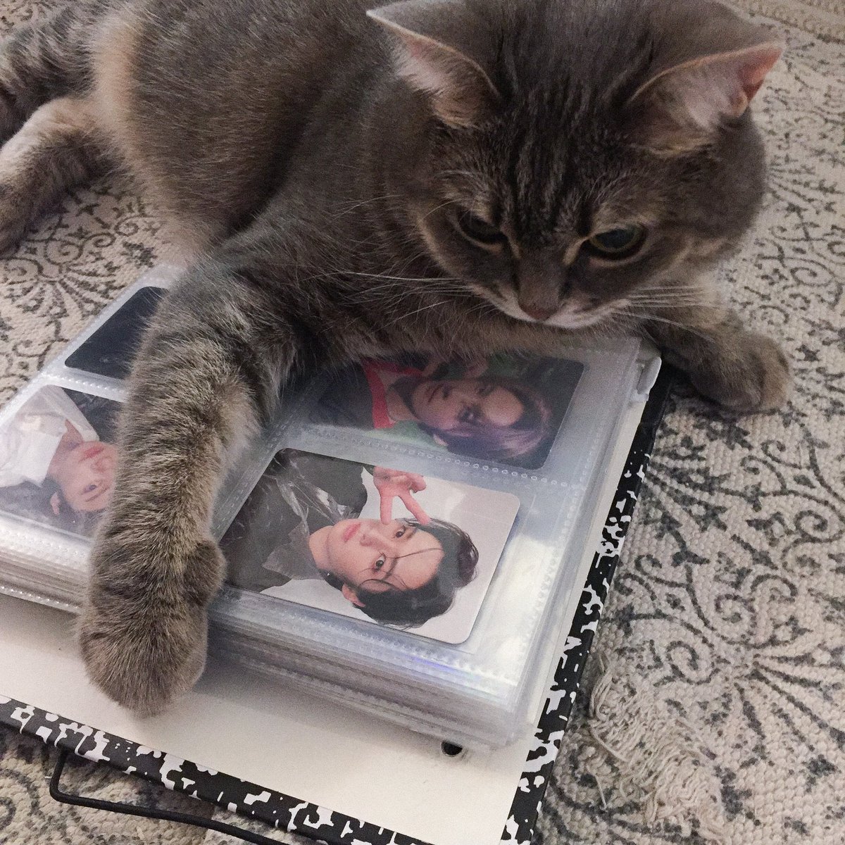 crimeaffairs's tweet image. 