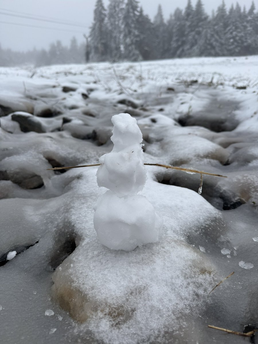 labry_de's tweet image. New England isn’t a real place lol

Taken today in Killington VT