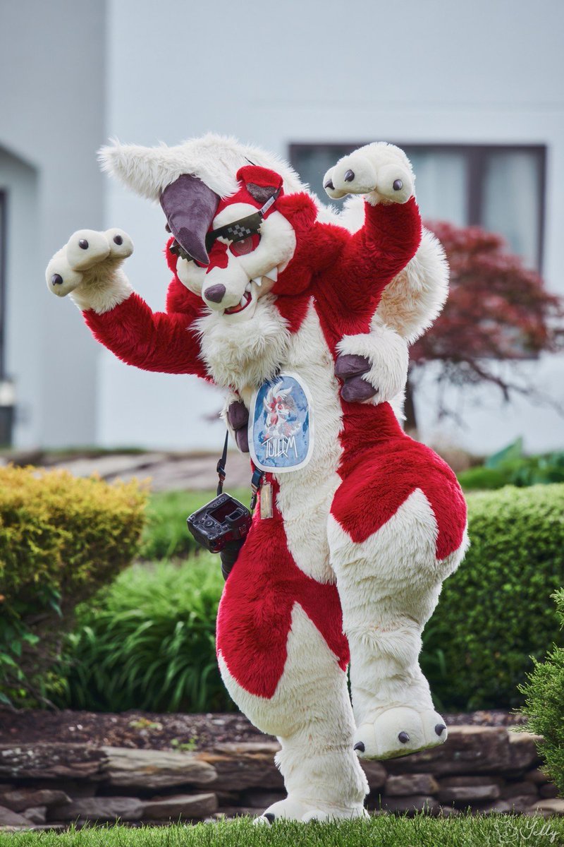 rawr

#FursuitFriday 

📸<a href="/yellyXP/">YellyXP</a>