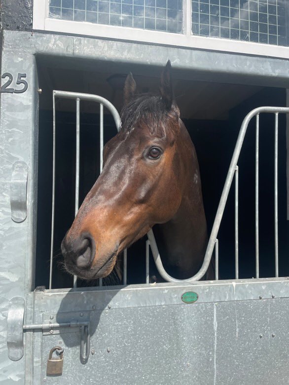 Hambleton Racing (@hambletonracing) on Twitter photo The popular WASHINGTON HEIGHTS lines up in the Group 2 Temple Stakes at <a href="/haydockraces/">Haydock Park Races</a> tomorrow afternoon! 🤩
We’re looking forward to cheering him on and wish his owners and the <a href="/kevinryanracing/">Kevin Ryan Racing</a> team the best of luck🤞🍀 The popular WASHINGTON HEIGHTS lines up in the Group 2 Temple Stakes at <a href="/haydockraces/">Haydock Park Races</a> tomorrow afternoon! 🤩
We’re looking forward to cheering him on and wish his owners and the <a href="/kevinryanracing/">Kevin Ryan Racing</a> team the best of luck🤞🍀