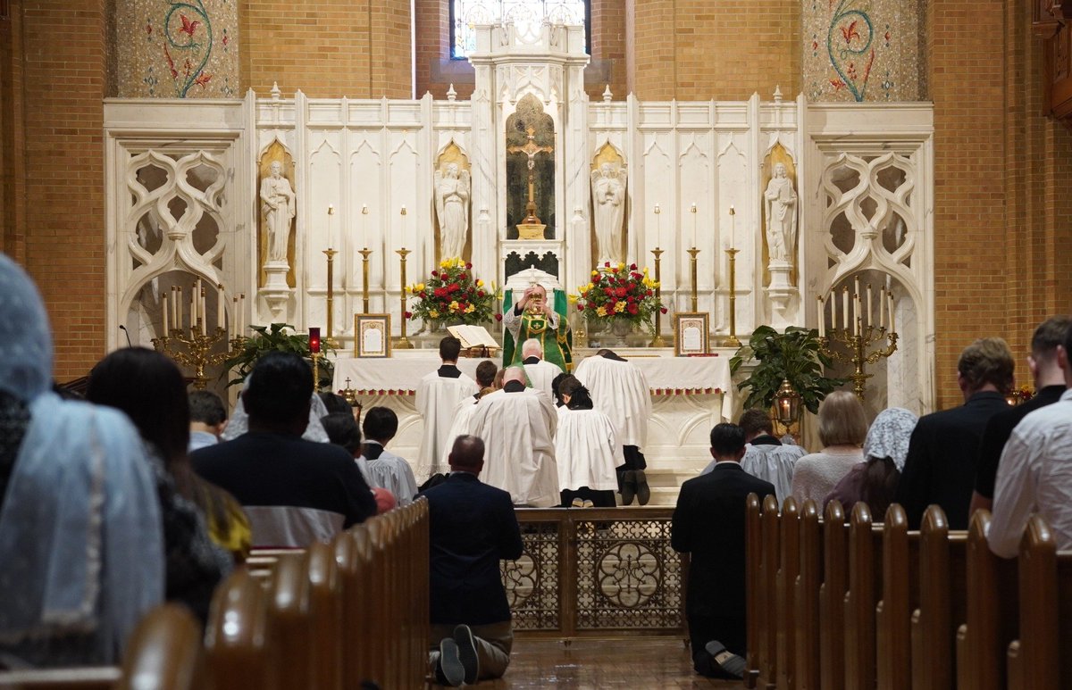 HilarityjaneArt's tweet image. Before Bishop Michael T. Martin's promotion of "concord and unity" in the diocese of Charlotte: