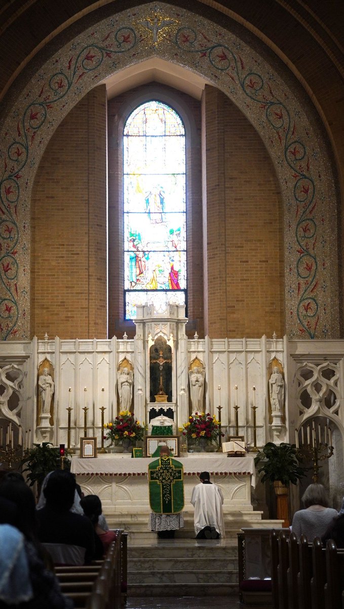 HilarityjaneArt's tweet image. Before Bishop Michael T. Martin's promotion of "concord and unity" in the diocese of Charlotte: