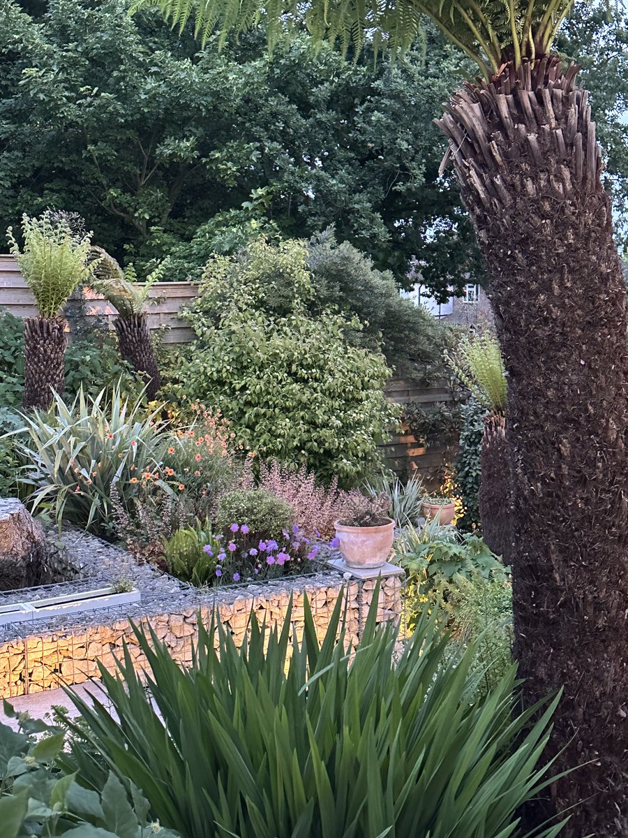 Love spring in #London #England WHEN we have good weather. Which we’ve finally had. 
Our plants are loving it ❤️