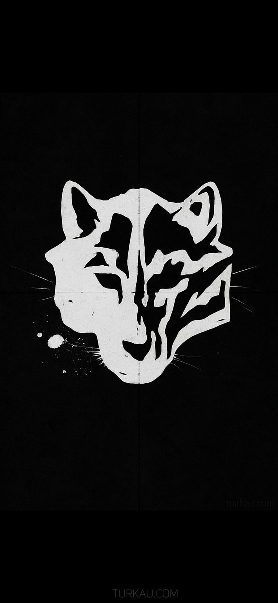 Türk (@turuksoz) on Twitter photo 