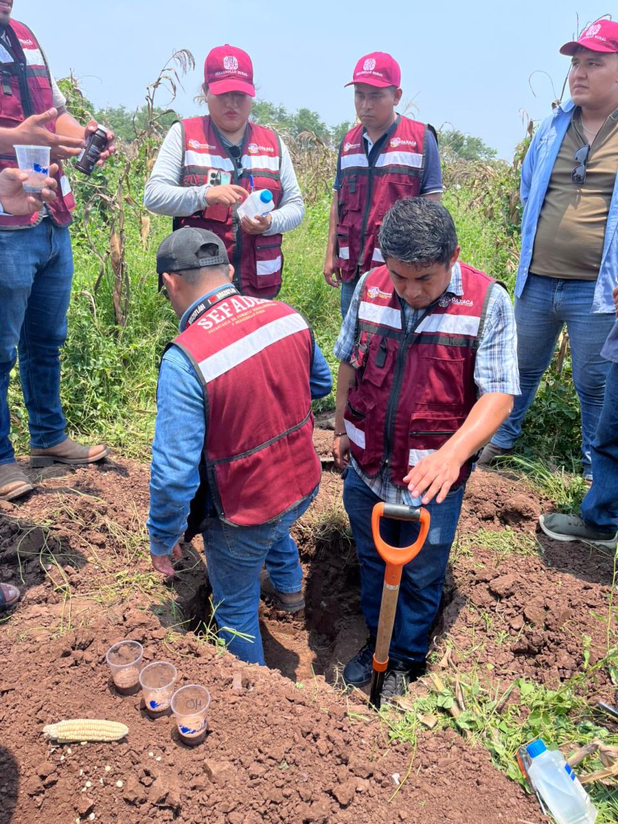 CAPACITACIÓN CONSTANTE PARA LOGRAR NUESTROS OBJETIVOS EN LA REGIÓN DEL ISTMO DE TEHUANTEPEC

Para impulsar las actividades y transformar el campo,  en el municipio de El Espinal, el equipo técnico del programa de Abasto Seguro de Maíz junto con las y los productores participaron
