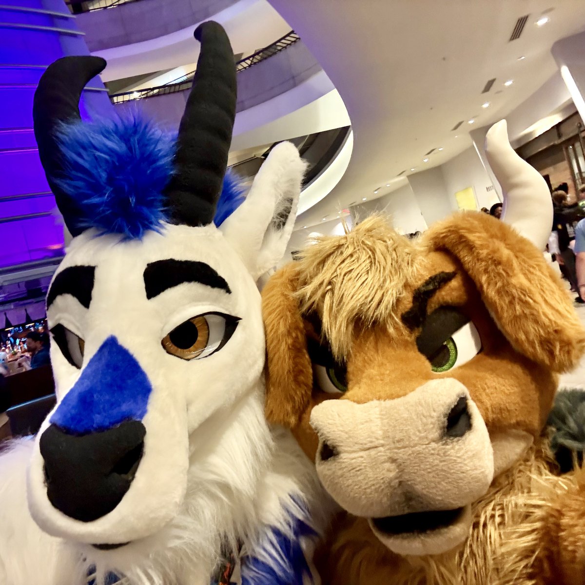 Horny boys 😌

#FursuitFriday