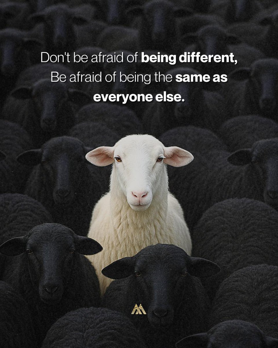 Mind Essentials (@mind_essentials) on Twitter photo 