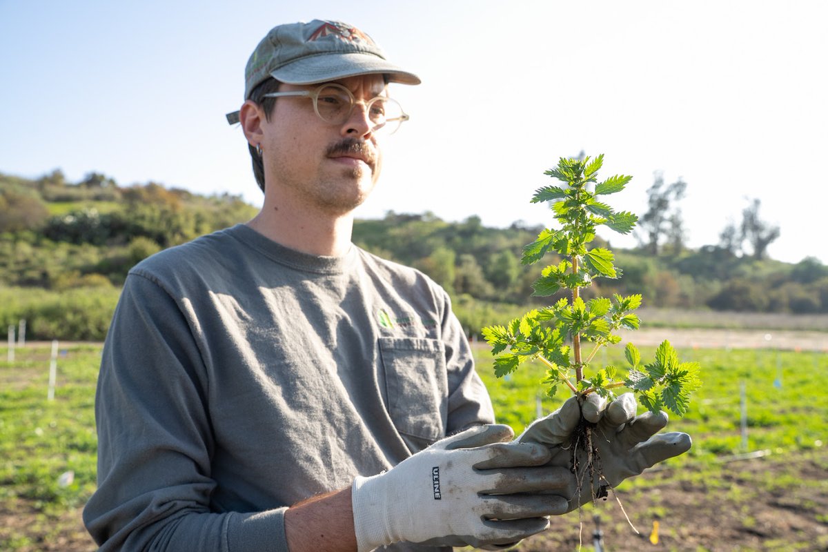 🌿 Volunteers make all the difference!

Join us for:
• Native Seed Farm weeding
• Restoration projects
• Guided hikes and Wilderness Access Days

Learn how to get involved at the link in our bio!