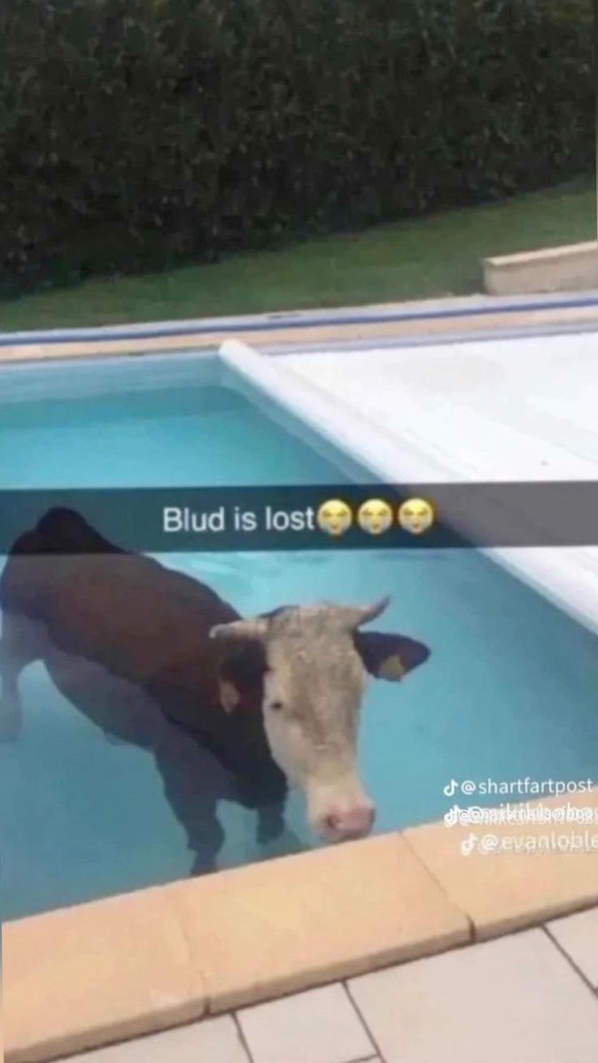 Goy D. Roger 🇨🇩🇵🇸 tweet media