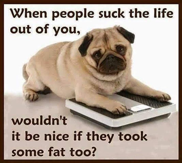 SoFlPeakers (@soflpeakers) on Twitter photo #FunnyFriday 🤪#SouthFloridaPeakers #SupportInspireUnite #MPC2025
#StrongerTogether #MyPeakChallenge #peaker4life #PeakerStrong #ProudPeaker #findyourpeak #BloodCancerUK <a href="/samheughan/">Sam Heughan</a>
<a href="/mypeakchallenge/">My Peak Challenge</a> <a href="/CoachValbo/">John Valbonesi</a> #valbod #FunnyFriday 🤪#SouthFloridaPeakers #SupportInspireUnite #MPC2025
#StrongerTogether #MyPeakChallenge #peaker4life #PeakerStrong #ProudPeaker #findyourpeak #BloodCancerUK <a href="/samheughan/">Sam Heughan</a>
<a href="/mypeakchallenge/">My Peak Challenge</a> <a href="/CoachValbo/">John Valbonesi</a> #valbod