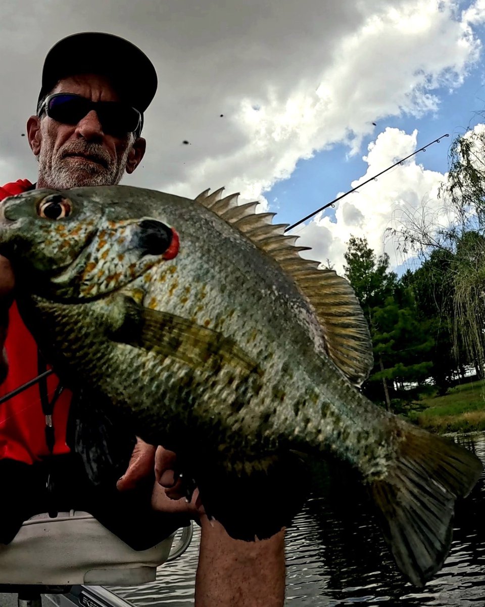 CrappieNow's tweet photo. Blake Phillips is all smiles, showing off a beautiful shell cracker caught on an Eye Hole Jig. With just a bit of scent in your presentation, you can hook into some serious slab action, too.
https://t.co/JFRgkmopoX
#FishingLife #ShellCracker #SlabCrappie #EyeholeJig https://t.co/QuW009p4jT