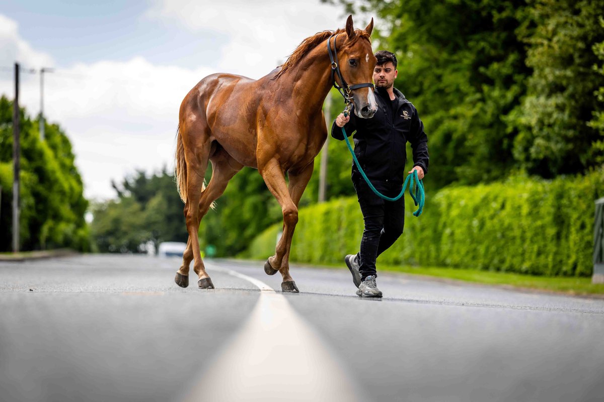 Morgan Treacy tweet media