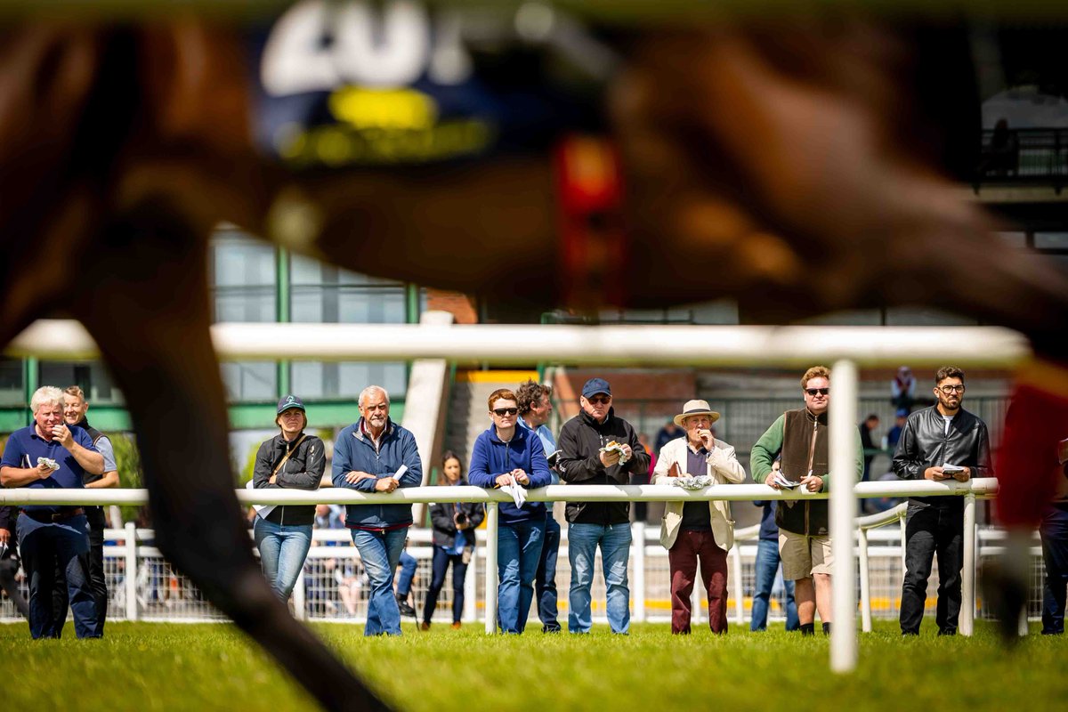 Morgan Treacy tweet media