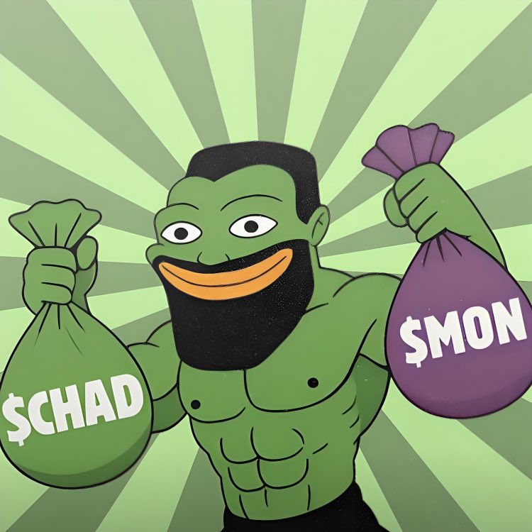 Mon distributed to top $CHAD holders!

LFG!