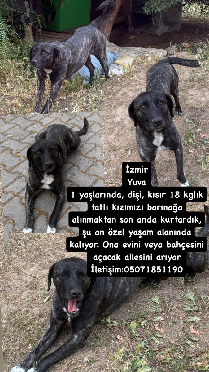 Fip_bebis (@fipbebis) on Twitter photo 