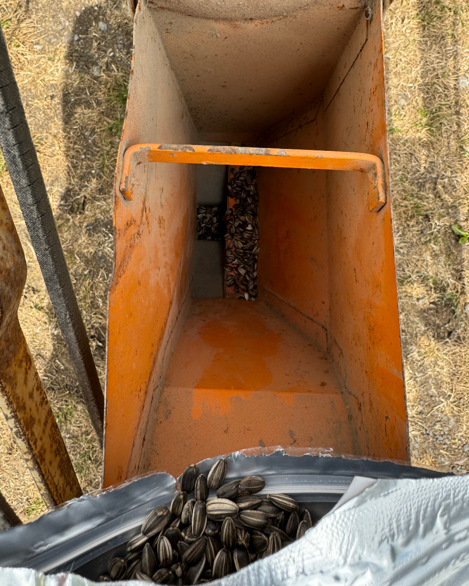 Over Farm tweet media