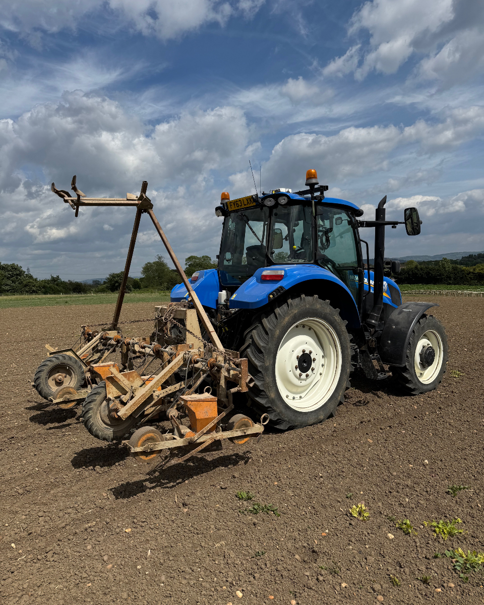 Over Farm tweet media