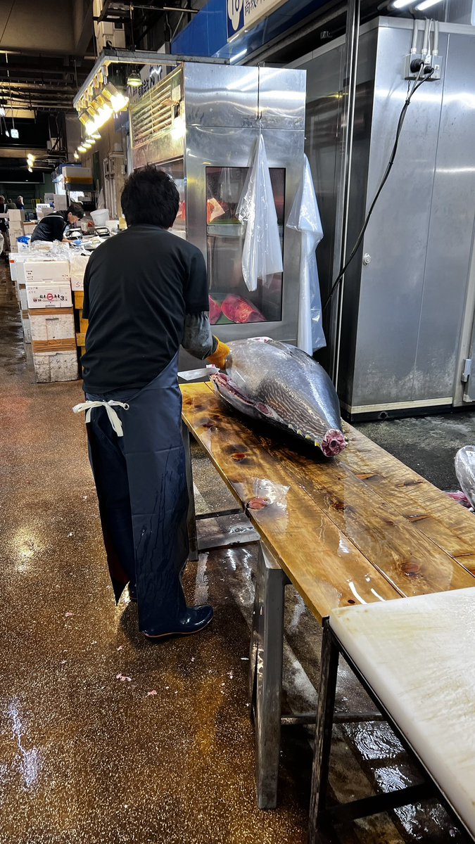 朝の散歩、鰯、鯵、葱、茗荷、生姜