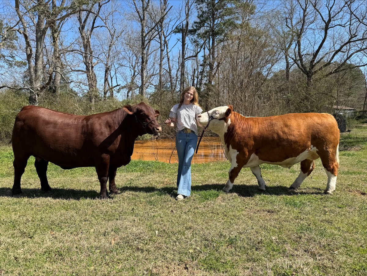 HOLT_CAT's tweet image. #HOLTCAT is proud to sponsor the upcoming Parker County Livestock Show! 🐄🌾

We support 4-H, FFA &amp;amp; other organizations working to grow better livestock &amp;amp; crops through education, exhibits &amp;amp; community. bit.ly/3YRR6sP

#LivestockShow
