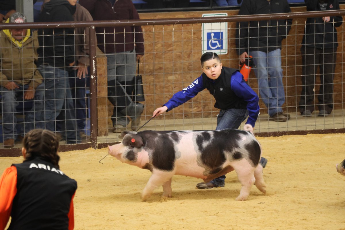 HOLT_CAT's tweet image. #HOLTCAT is proud to sponsor the upcoming Parker County Livestock Show! 🐄🌾

We support 4-H, FFA &amp;amp; other organizations working to grow better livestock &amp;amp; crops through education, exhibits &amp;amp; community. bit.ly/3YRR6sP

#LivestockShow